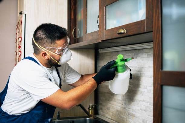 Best Pest Control Treatment  in Liberty Triangle, FL