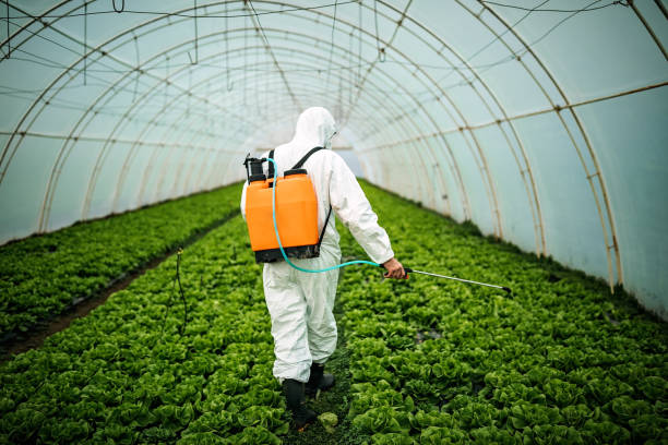 Best Pest Control Near Me  in Liberty Triangle, FL