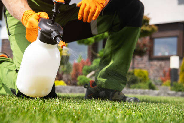 Best Rodent Control Near Me  in Liberty Triangle, FL