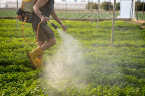 Best Affordable Pest Control Services  in Liberty Triangle, FL
