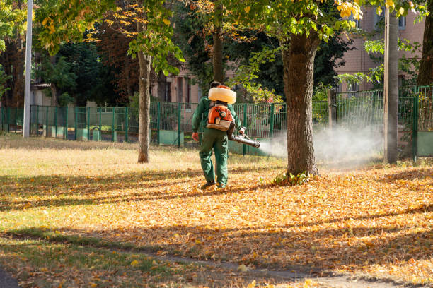 Best Local Pest Control Services  in Liberty Triangle, FL