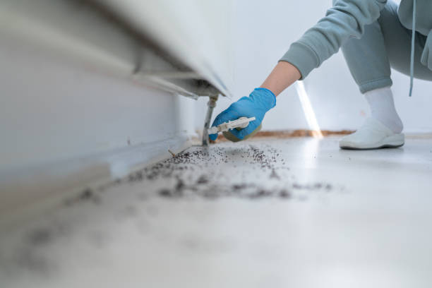 Pest Control for Restaurants in Liberty Triangle, FL